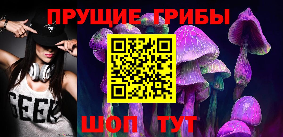 Ангарск  закладки  Вход с VPN  Псилоцибиновые грибы Psilocybine cubensis 