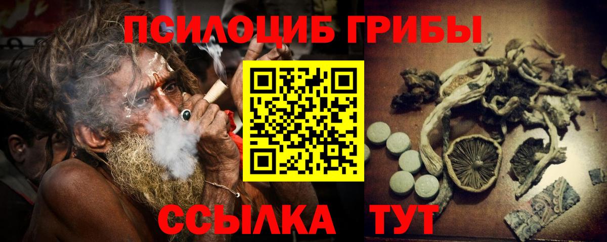 Псилоцибиновые грибы Cubensis Ангарск